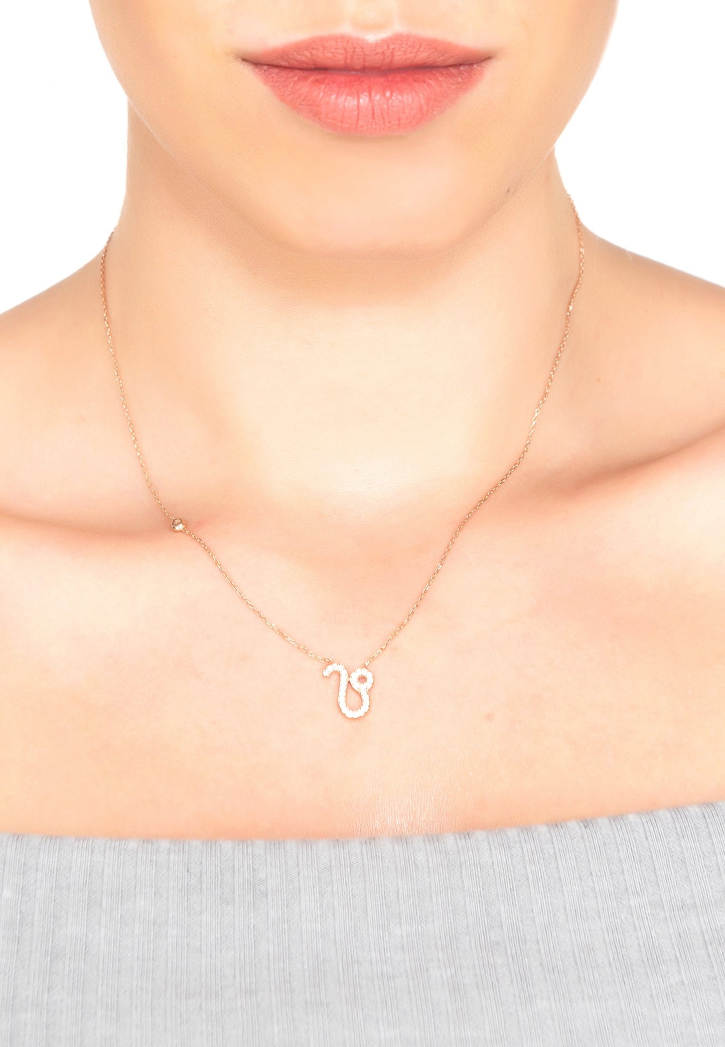 Leo Zodiac Star Sign Pendant Necklace